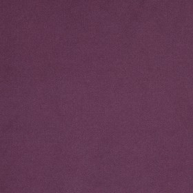 SOUTH FACE / 43 AUBERGINE